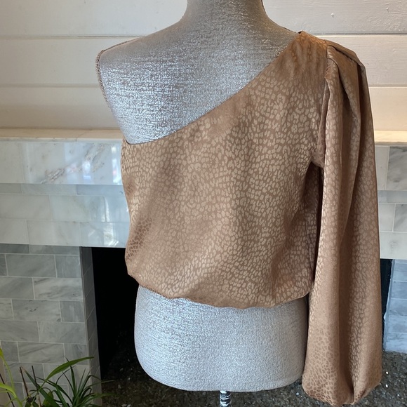 Show Me Your Mumu One Shoulder Balloon Sleeve Copper Cheetah Crop Top Si… - Picture 7 of 11